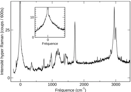 Fig. 3.10  Diusion HR dans un polymère de PMMA. Le spetre présenté dans