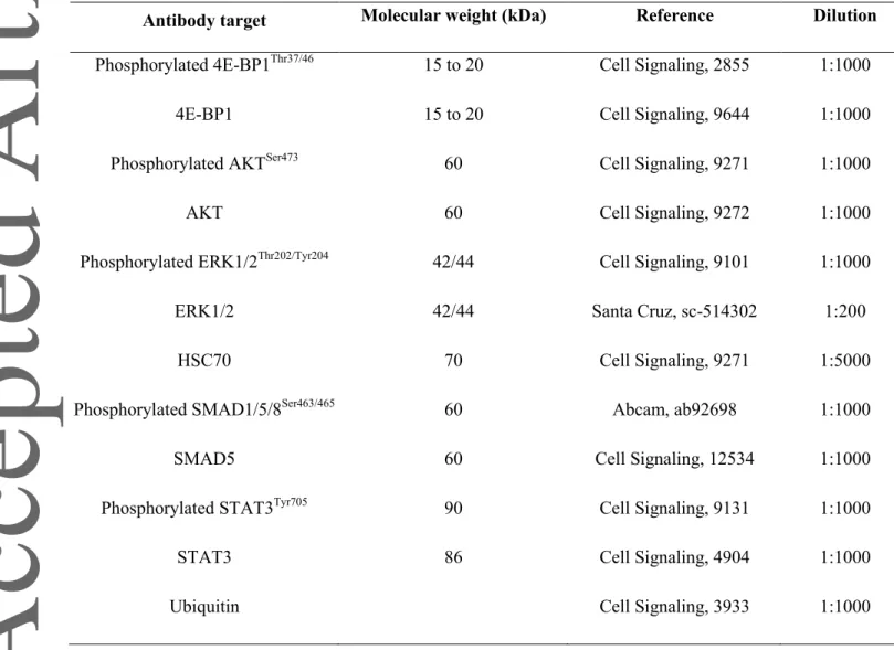 Table 1: List of primary antibodies used for western blotting 