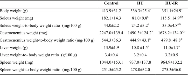 Table  3.  Effect  of  hind  limb  unloading  (HU)  and  intermittent  reloading  (IR)  on  body  and  organ  weights