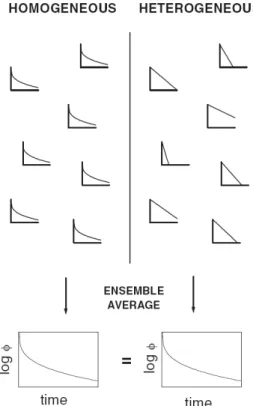 Figure 1.11: Schematic representation of the homogeneous and heterogeneous approach on describing the supercooled dynamics [48].