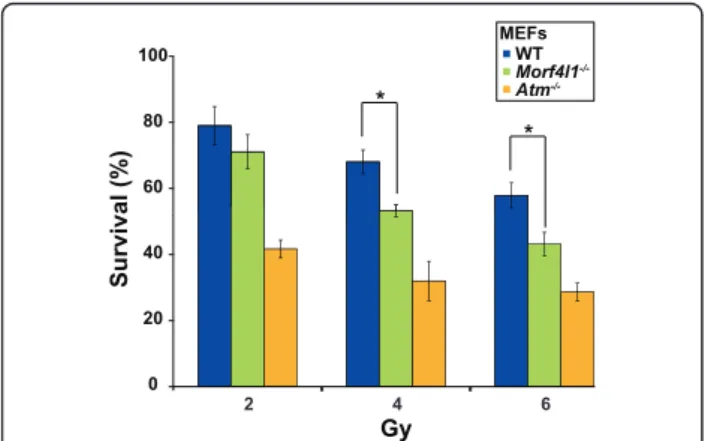 Figure 1 Mrg15 deficiency confers sensitivity to g-radiation.