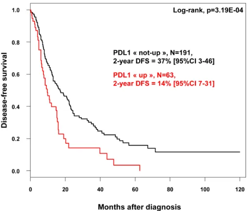 Figure 1: Disease-free survival according to PDL1 mRNA expression in patients with pancreatic cancer