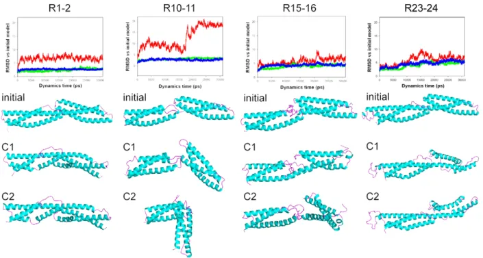 Figure 4. Structural changes in the four tandem repeats observed during the molecular dynamics relaxation