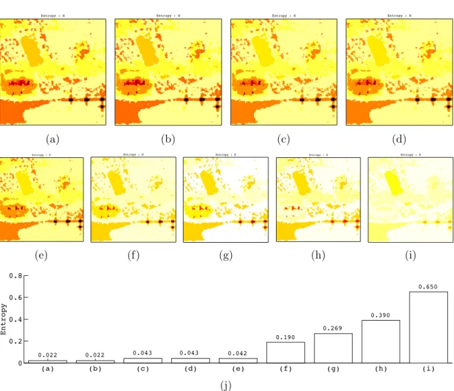 Figure III.3: RAMSES POLSAR X-band, Brétigny, France: entropy estimation using (a) PCA - Pauli basis, (b) PCA - circular basis, (c) ICA - Pauli basis (C2 criterion), (d) ICA - circular basis (C2 criterion), (e) ICA - Pauli basis (C3 criterion), (f) ICA - P