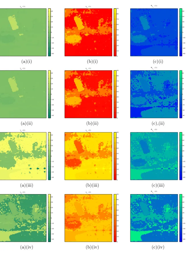 Figure III.7: RAMSES POLSAR X-band, Brétigny, France: comparison between the TSVM parameters obtained by means of PCA (ﬁrst most dominant component (i) and second most dominant component (iii) and by means of ICA (ﬁrst most dominant component (ii) and seco