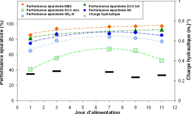 Figure 10: Performances épuratoires en fonction du jour d’alimentation pendant la campagne intensive 