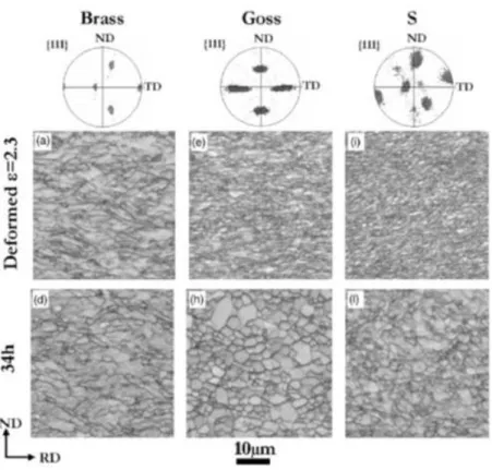 Figure 1.8: Time evolution of microstructure of deformed Al-0.1%Mn crystals annealed at 264 ◦ C for 34 hours [6]