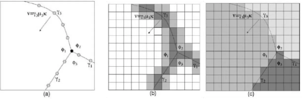 Figure 1.10: Diﬀerent types of models to simulate grain growth: (a) Vertex dynamics, (b) Monte Carlo Potts model and (c) Phase-ﬁeld model [21]