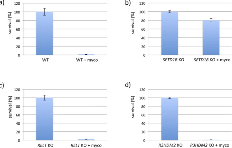 Fig 2. CRISPR/Cas KO clones challenged with mycolactone. Single KBM-7 knockout clones (20.000 cells) of SETD1B, RELT and R3HDM2 generated with CRISPR/