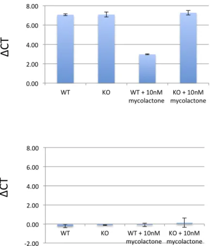 Fig 5. RT-PCR results of CHAC1 and CLIC1. Depicted are ΔCT values of RT-PCR performed with primers for CHAC1 and CLIC1 corrected for the household gene PPA1