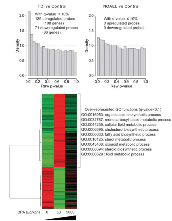 Fig. 2. Effects of BPA reference doses on liver transcriptome. mRNAs were extracted from the livers of male CD1 mice (n ¼ 6/group) exposed or not to a low (TDI: 50 l g/kg/day) or high dose (NOAEL: 5,000 l g/kg/day) of BPA