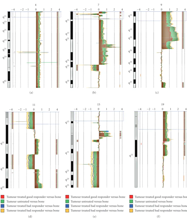 Figure 6: CGH analysis of six tumours from an osteosarcoma rat model. Here, we represent six chromosomes among the twenty + X chromosomes present in rat genome