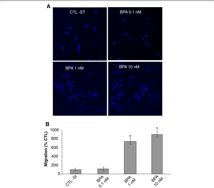 Figure 1 BPA induces prostate cancer cells migration. Cell migration was measured via the Transwell chamber assay