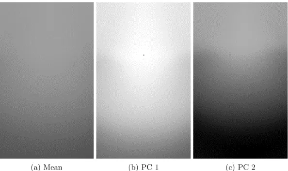 Figure 2-2: The (a) mean, (b) first principal component, and (c) second principal component of the soil state depth maps using principal component analysis.