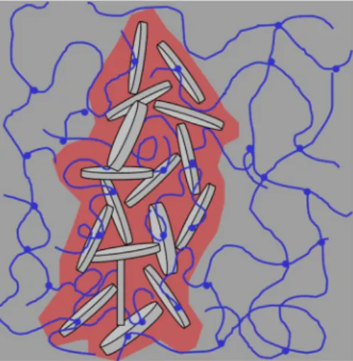 Figure 10 is a schematic illustration of the special bi-network structure in the Si-HPMC/XLS composite hydrogel that was prepared using B.