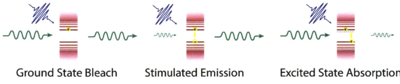 Figure  1.4. Schematic of the three contributions  to a transient absorption  spectrum.