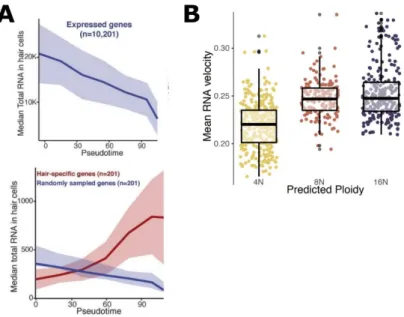 Figure 11. Changes of gene expression in endoreduplicated root hair cells 