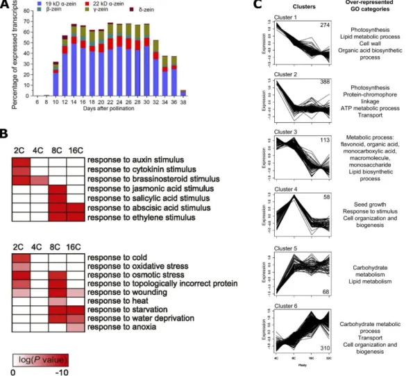 Figure  12.  Endoreduplication  can  induce  high  expression  of  specialized  genes  in  Maize, Arabidopsis and Tomato