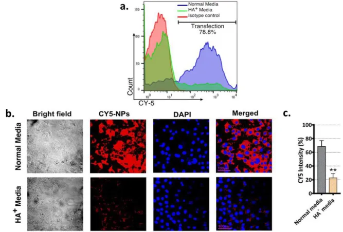 Figure  1.4-12.  Uptake  of  a  PEG-quaternized  chitosan-hyaluronic  acid  complex  encapsulating  a  Cy5  labelled siRNA