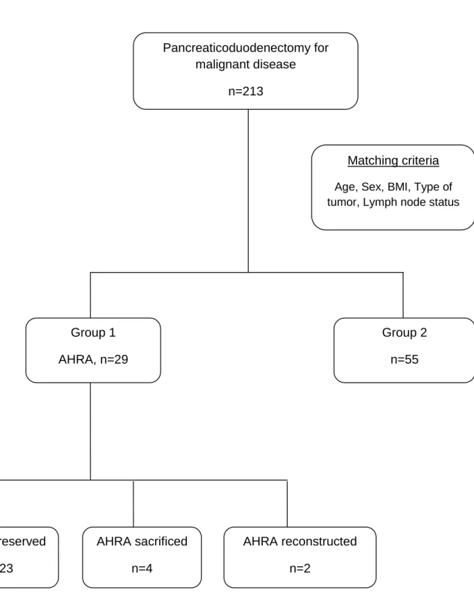 Figure 2. Diagram chart   Pancreaticoduodenectomy for  malignant disease  n=213  Group 1  AHRA, n=29  Group 2 n=55  n=14  AHRA preserved  n=23  AHRA reconstructed n=2 AHRA sacrificed n=4  Matching criteria  Age, Sex, BMI, Type of  tumor, Lymph node status 