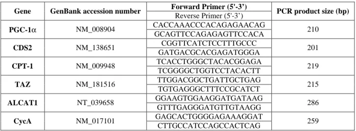 Table 1. Primers used for real-time PCR amplification 
