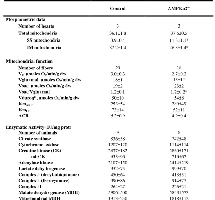 Table 3. Energy metabolism of cardiac fibers   Control  AMPKa2  -/-Morphometric data  Number of hearts  3  3  Total mitochondria  36.1±1.8  37.6±0.5  SS mitochondria  3.9±0.4  11.3±1.1*  IM mitochondria  32.2±1.4  26.3±1.4*  Mitochondrial function  Number 
