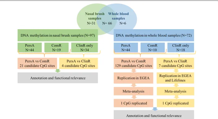 Fig. 1  Study design. In the discovery panel,103 samples were assessed in this study, 72 subjects had whole blood DNA methylation data, 97  subjects had nasal DNA methylation data and 66 subjects have both
