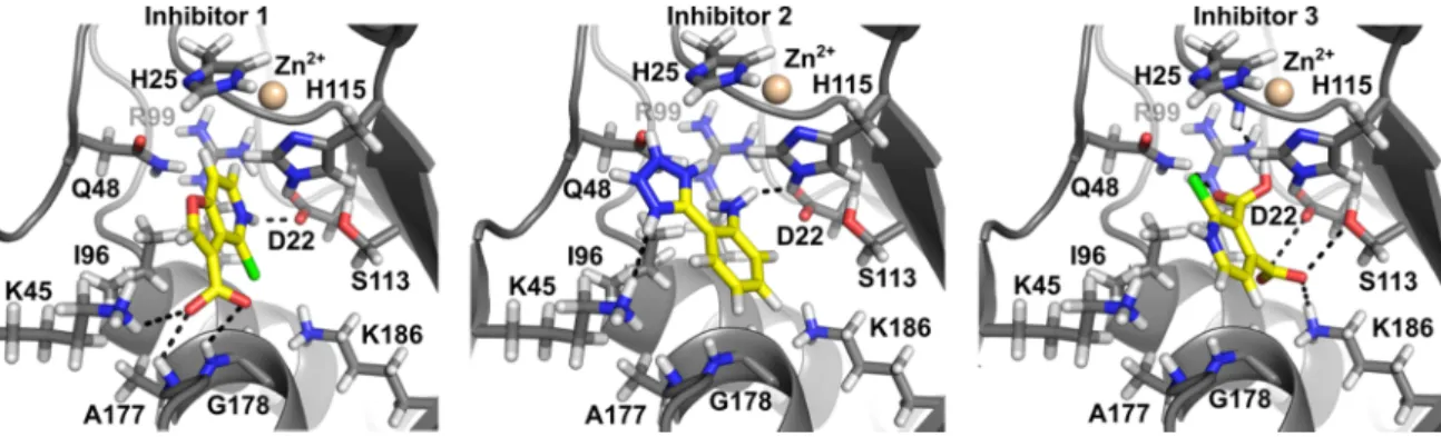 Figure 6. In silico docking of the three inhibitors. The figure depicts the best docking poses of the  three compounds