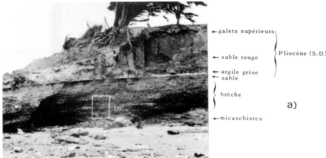 Fig.  2  Le  gisement  de  La  Sennetière