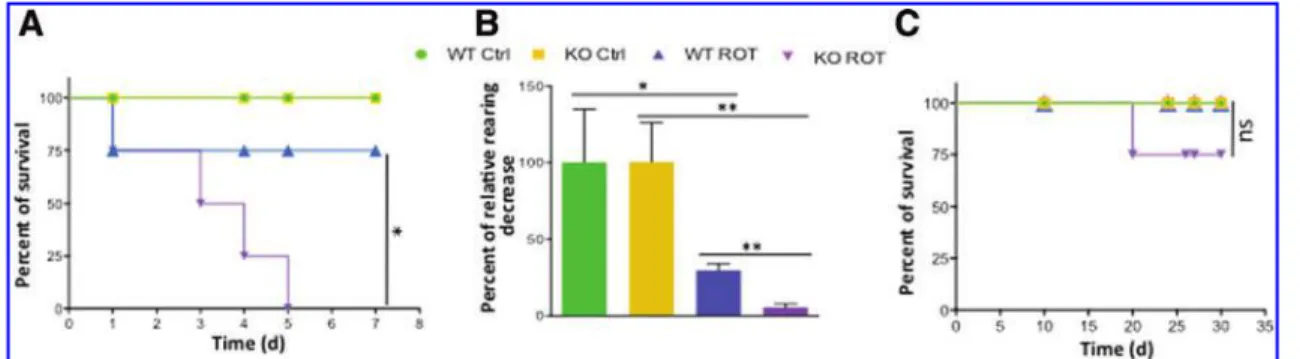FIG. 7. Exposure to low doses of rotenone altered rearing behavior in Nes-Cre/SelT fl/fl mice