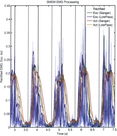 Figure  3-6:  EMG  processing  of  the  semimembranosus  (medial The  solid  vertical  lines  are  heel  strikes  of the  observed  leg  while lines  are  toe  off  events.