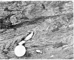 Fig.  20. Le  Palandrin.  Brèche  tectonique  sépa­