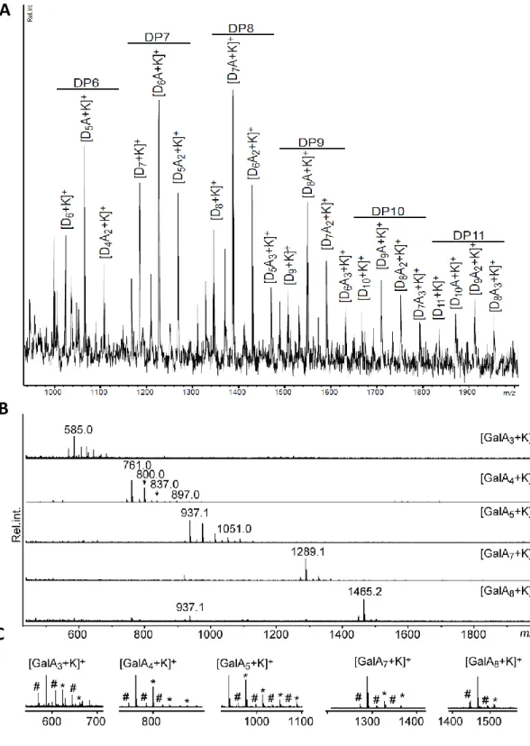 Fig. S1. Oligosaccharide analysis using MALDI-ToF-MS. (A) MALDI-ToF-MS spectrum  of the chitosan oligosaccharides used to produce the COS probes