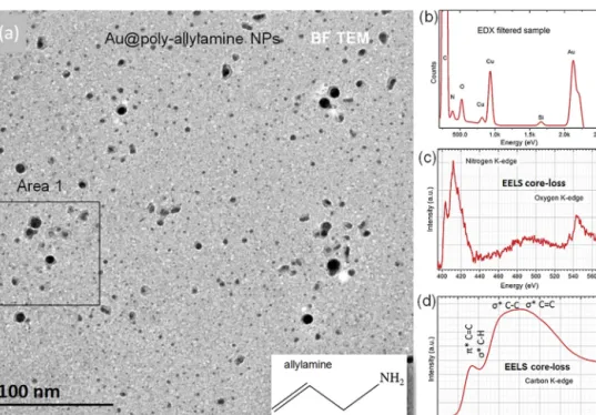 Fig. 1a shows a conventional BF TEM image of the Au@PPAA NPs supported on ultrathin C