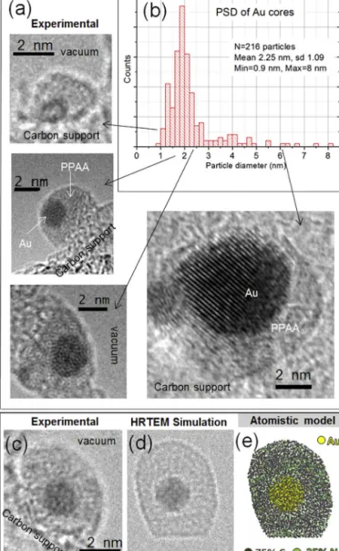 Fig. 2a shows representative examples of high-resolution TEM images of Au@PPAA NPs with cores of different size