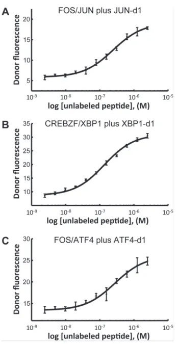 Fig 4. Designed bZIP-binding peptides inhibit interactions of native bZIP dimers. (A) JUN-d1 inhibits the interaction of 10 nM JUN with 50 nM FOS with an IC 50 of 245 nM at 37°C