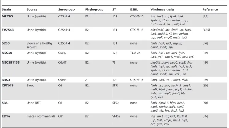Table 1. Main characteristics of the E. coli clinical isolates used in this study.