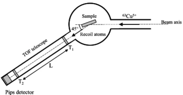 Fig. 1. Schematic of ERD-TOF system. The detector mounted at 45° from the incident beam axis consists of two isochronous electrons detectors separated 76 cm for the timing signal and a 450 mm 2 heavy ion PIPS detector which detects the energy of the recoil