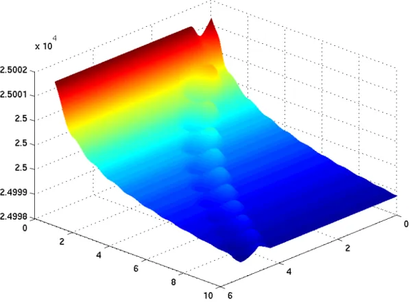 Figure 2.6: A view of f SN (x, y)