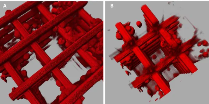 Figure S5. High resolution 2PI characterization of a 3D scaffold colonized by N2A cells 