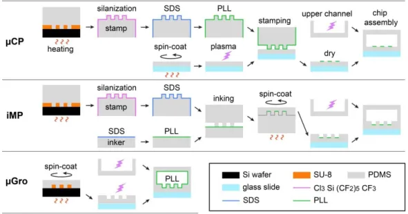 Fig. 2. Scheme of the preparation of three different substrates and microfluidic chip assembly