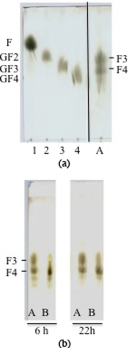 Fig.  4. Analysis  of  N42G  activity  speciﬁcity  (a)  by  following  the  appearance  of  reducing  sugars  at  590  nm