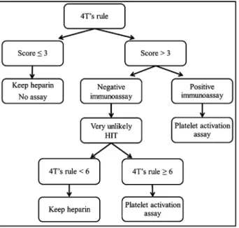 Fig. 1. Diagnostic algorithm for immune HIT.