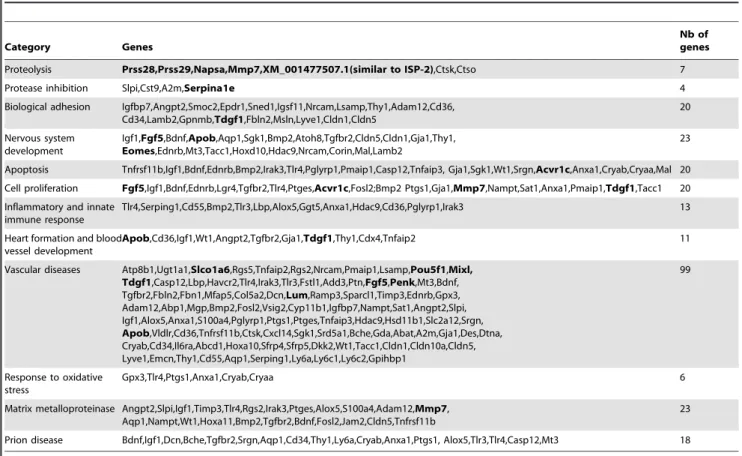 Table 3. Summary of the highest represented functional groups of genes from the differentially expressed gene list at E7.5.