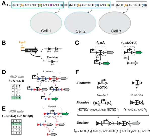 Figure 2. A hierarchical composition framework for asynchronous Boolean recombinase logic
