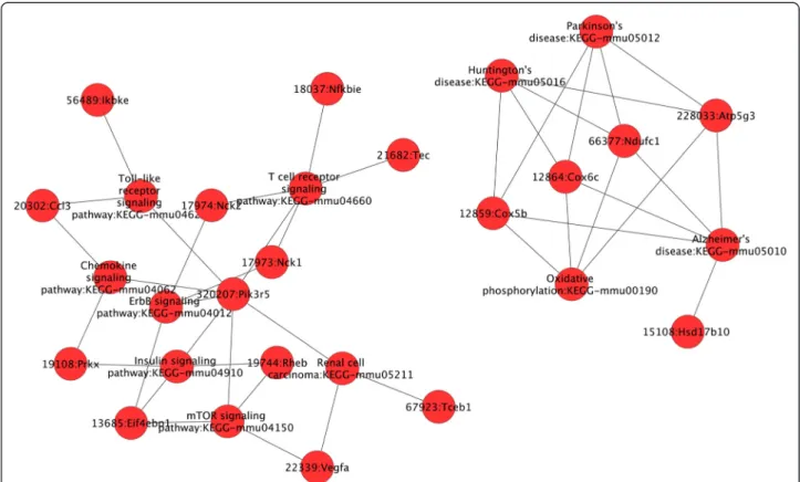 Figure 3 Cytoscape plugin was used to analyse within C57Bl/6 up-regulated genes, genes interaction within the same pathway and across different pathways
