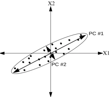 Figure 2-4: Graphical interpretation of PCA