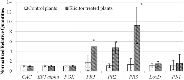 Figure 1: Normalized relative quantities of transcripts for CAC, EF1 alpha, PGK, PR1, PR2,  PR3, LoxD and PI-1 in tomato leaves cv