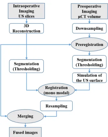 Fig. 2. Pipeline of the overall procedure for multi-modal registration of the cochleae 
