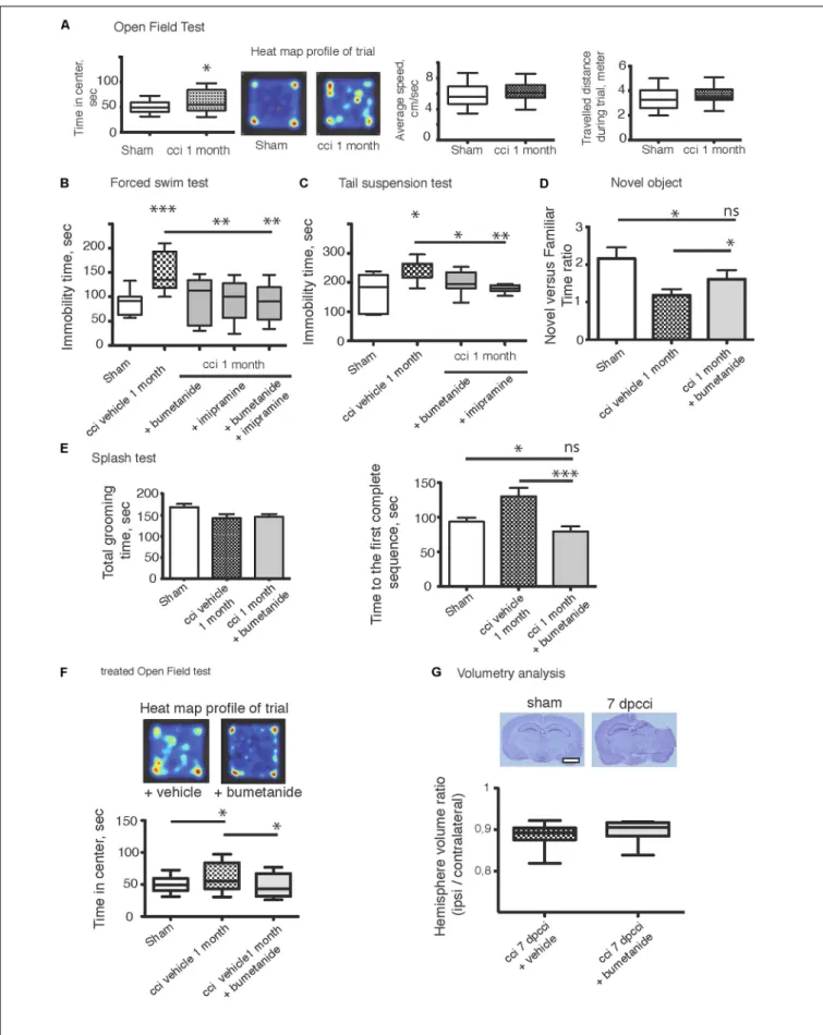 FIGURE 1 | Continued